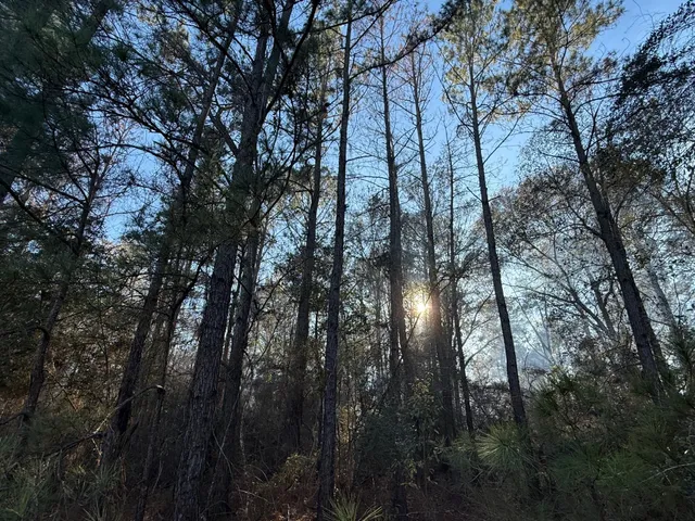 $1,185,720 | 18510 Farm To Market 1774, Plantersville, TX 77363