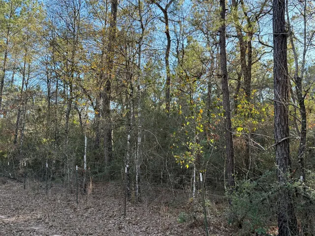 $1,185,720 | 18510 Farm To Market 1774, Plantersville, TX 77363