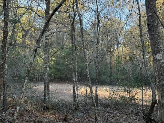 $1,185,720 | 18510 Farm To Market 1774, Plantersville, TX 77363