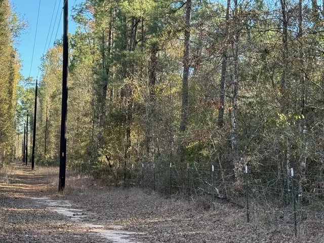 $1,185,720 | 18510 Farm To Market 1774, Plantersville, TX 77363