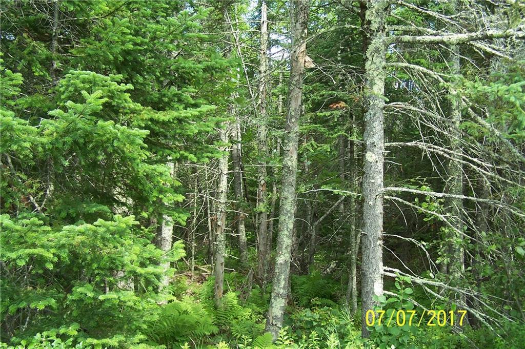 Tba Hudson Hill Road Hudson, ME 04449 - Photo 8 of 8 Photo