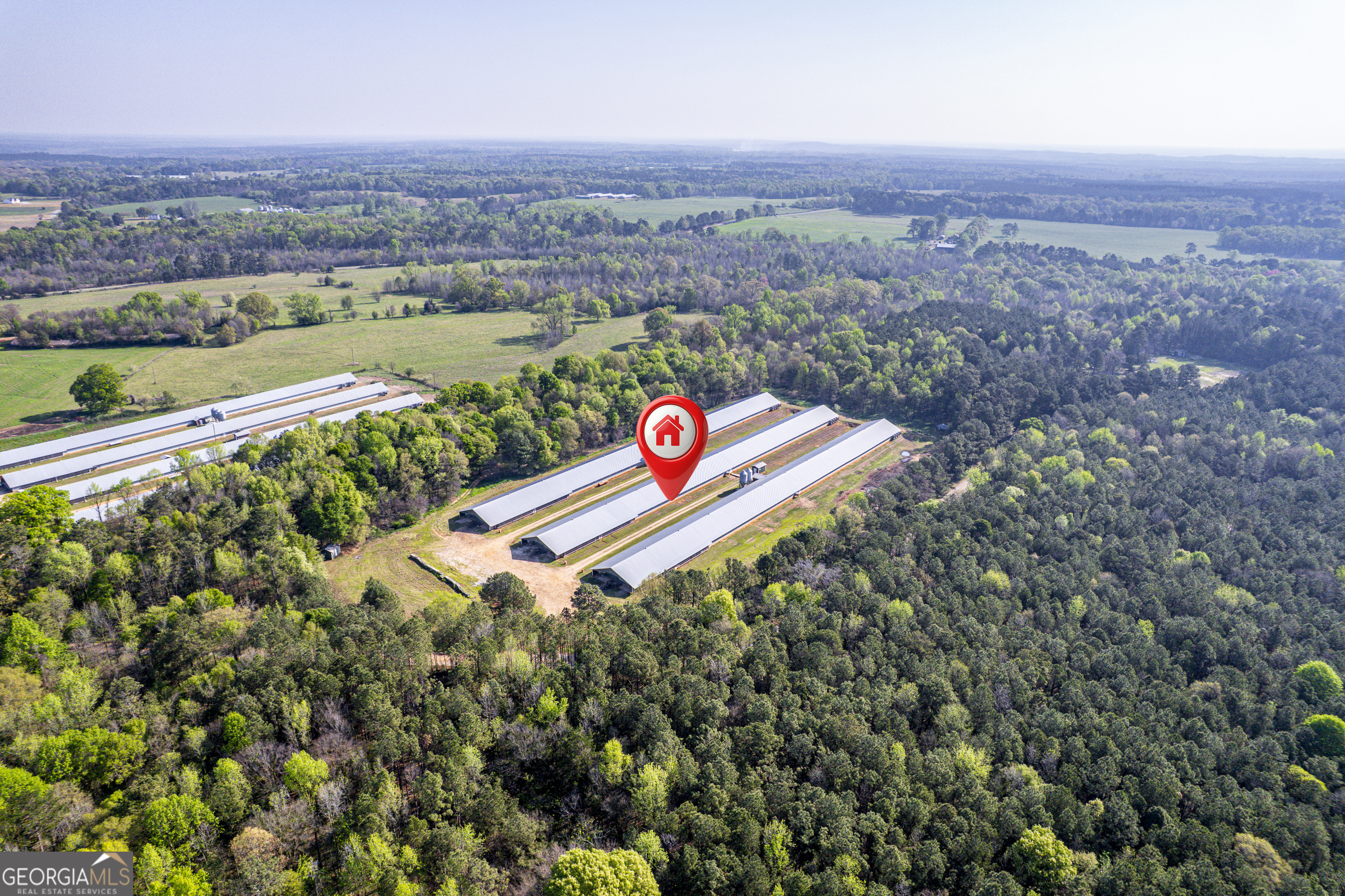 125 Walker Gresham Road Stephens, GA 30667 - Photo 11 of 25