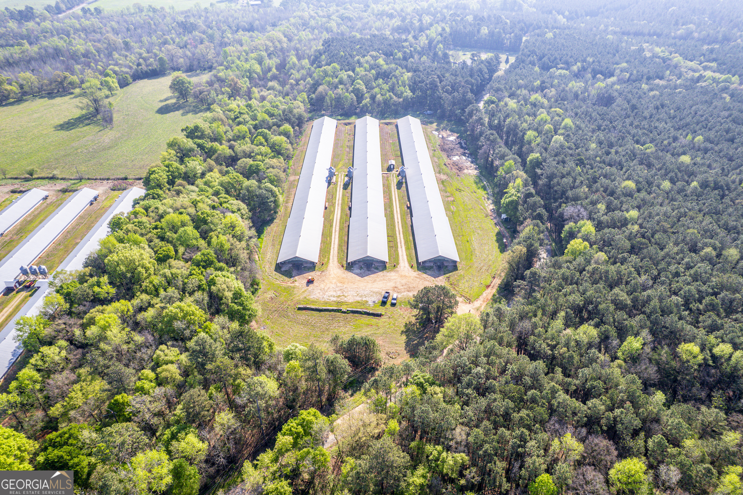 125 Walker Gresham Road Stephens, GA 30667 - Photo 12 of 25