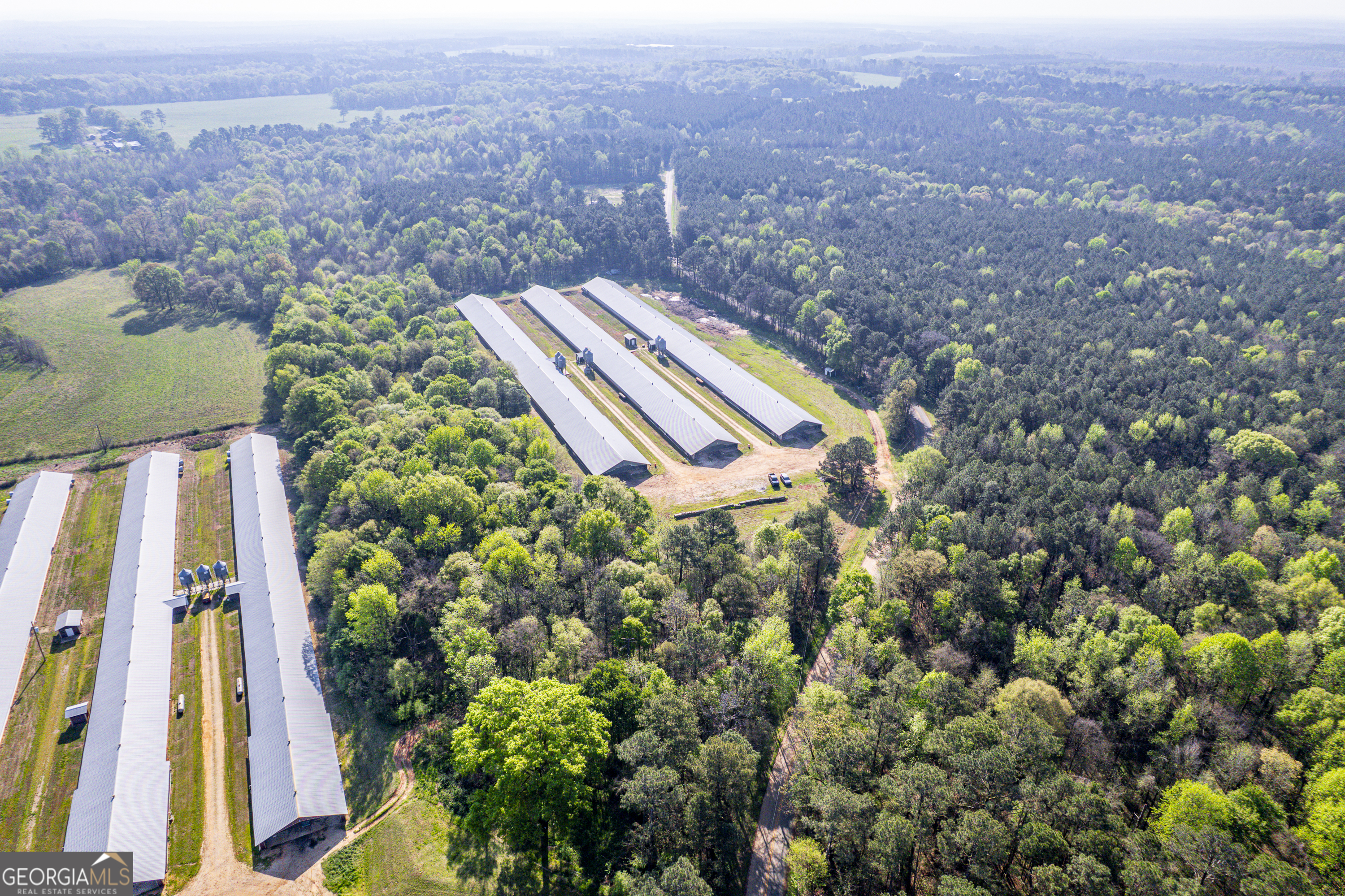 125 Walker Gresham Road Stephens, GA 30667 - Photo 13 of 25