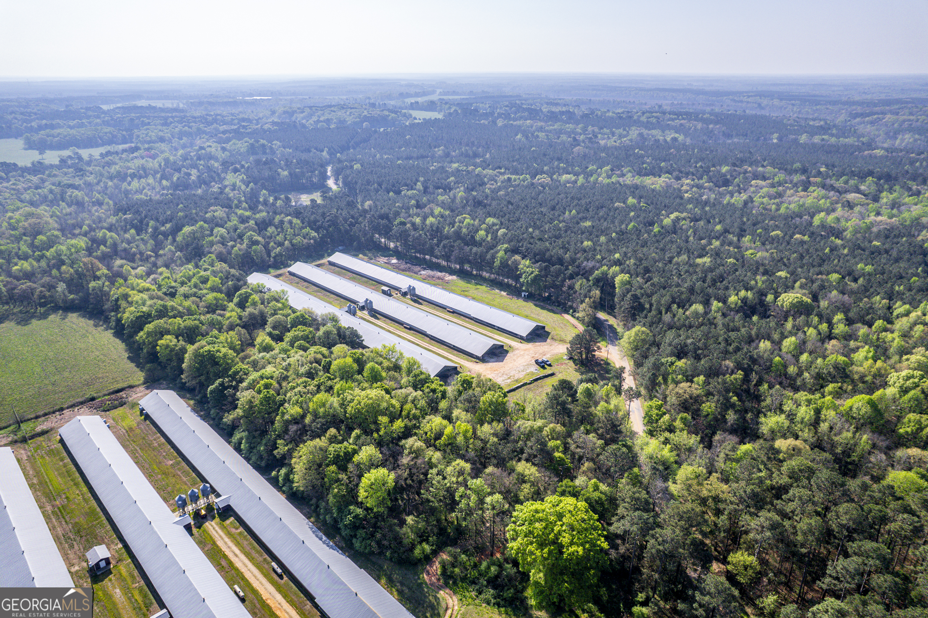 125 Walker Gresham Road Stephens, GA 30667 - Photo 14 of 25