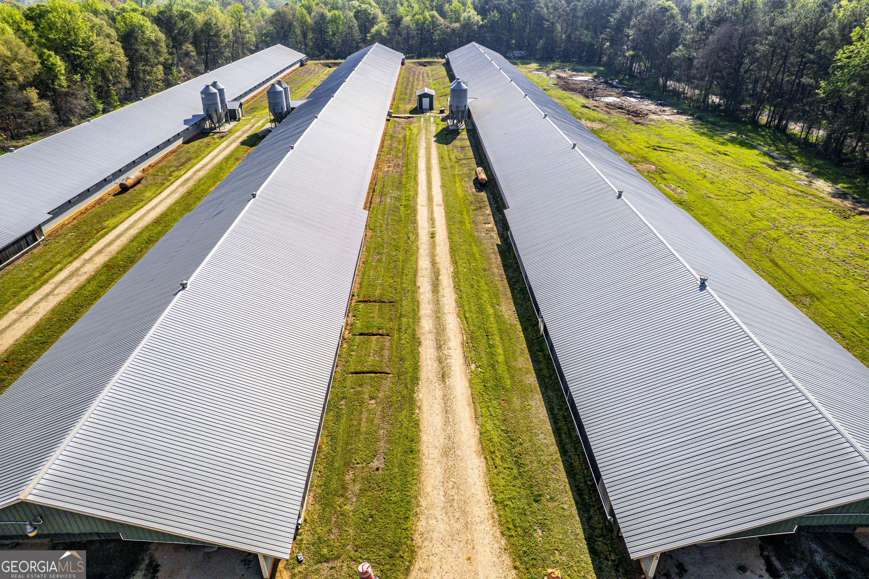 125 Walker Gresham Road Stephens, GA 30667 - Photo 6 of 25