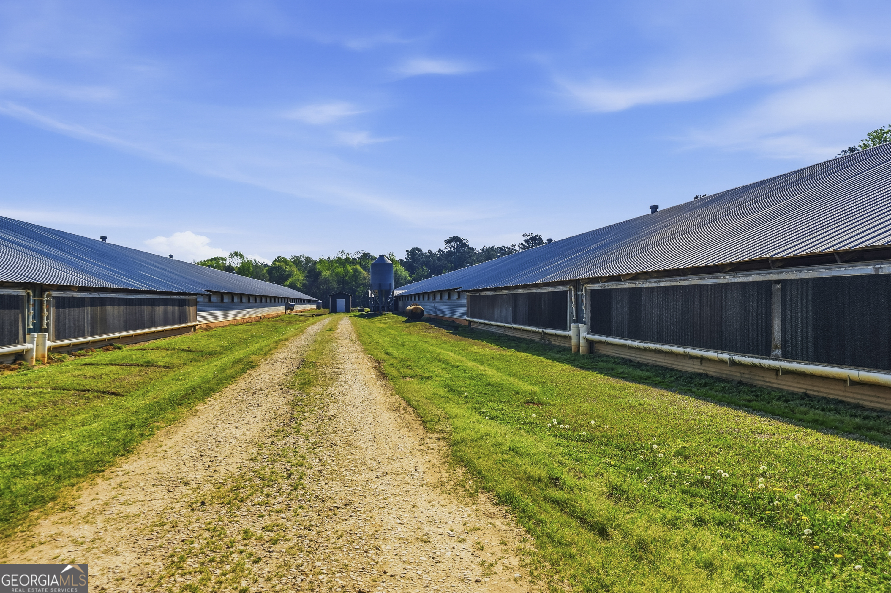 125 Walker Gresham Road Stephens, GA 30667 - Photo 8 of 25