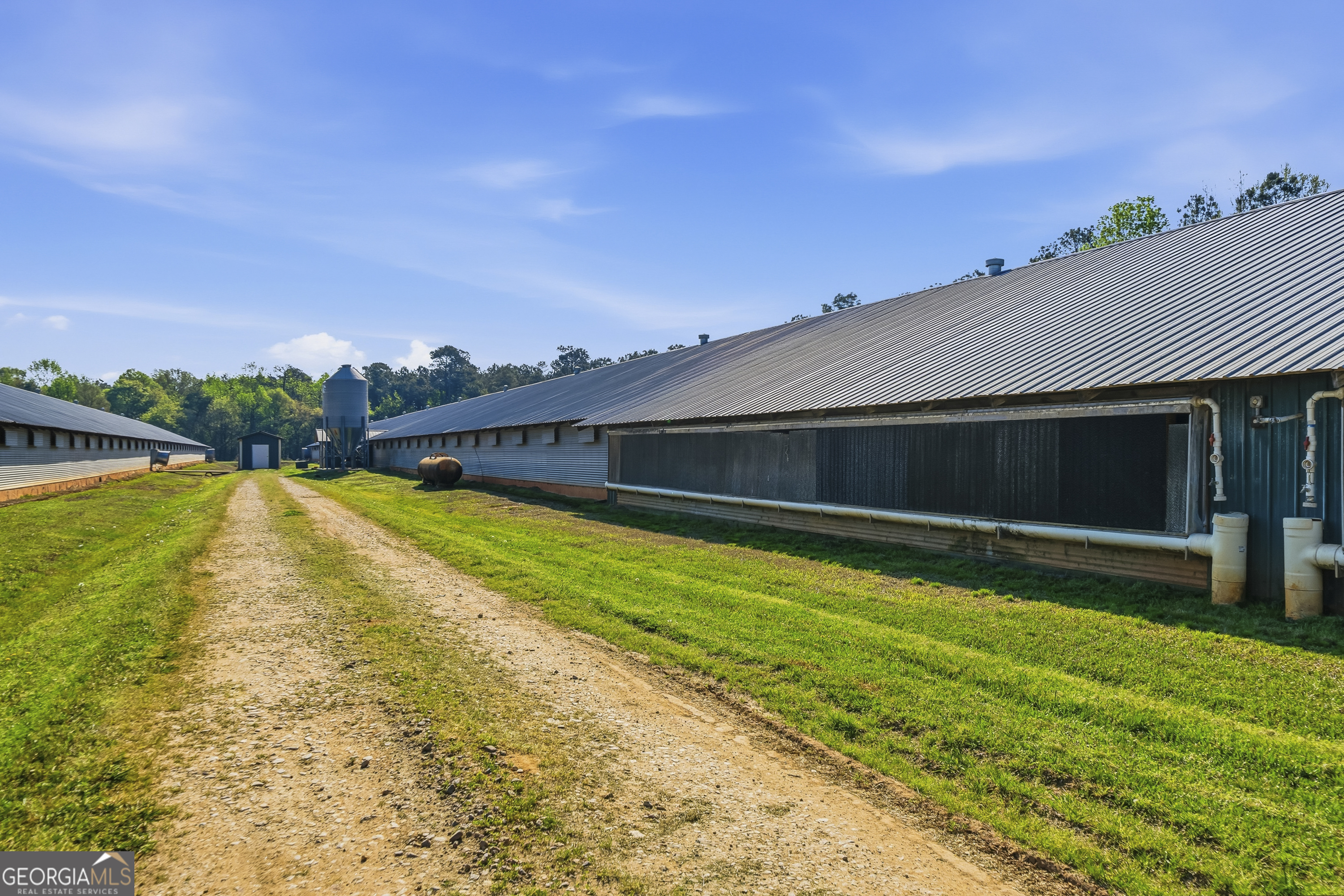 125 Walker Gresham Road Stephens, GA 30667 - Photo 9 of 25