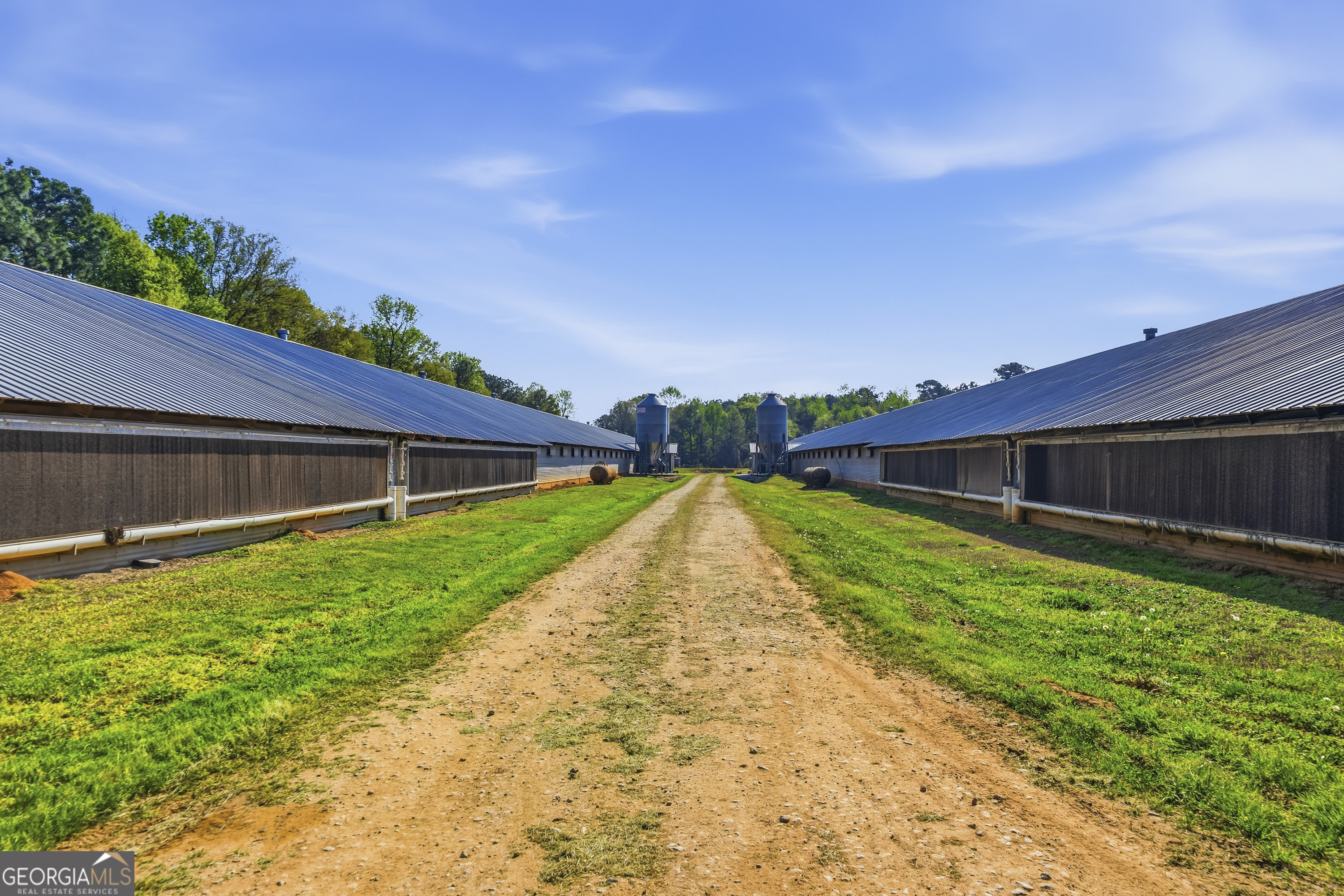 125 Walker Gresham Road Stephens, GA 30667 - Photo 10 of 25