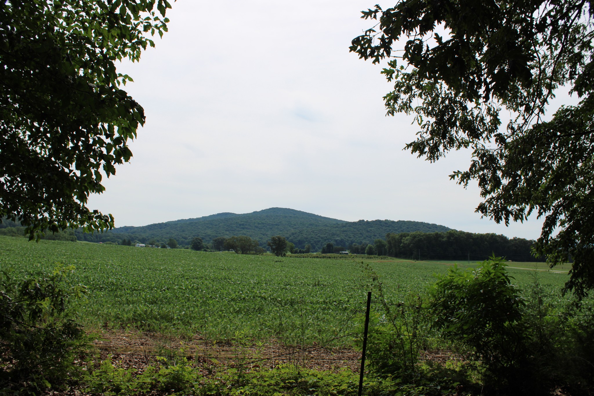 612 Bost Road McMinnville, TN 37110 - Photo 7 of 47