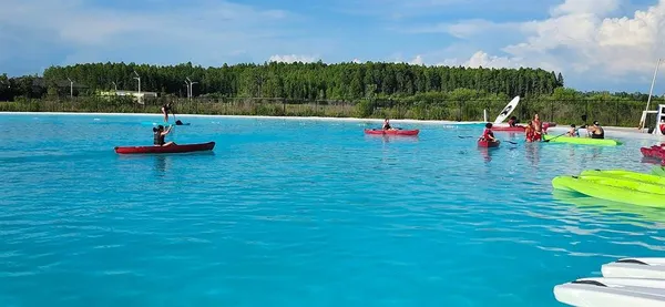 a view of outdoor space with trees yard and swimming pool