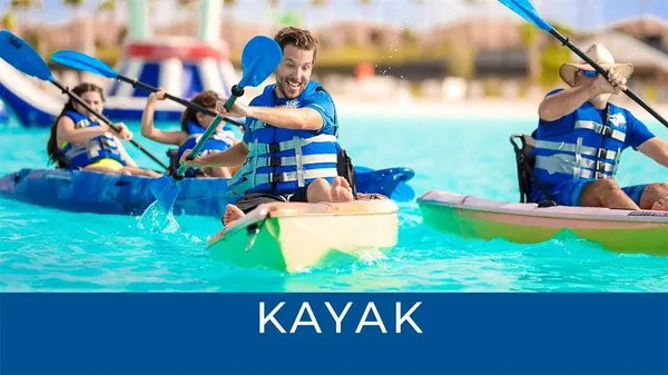 a close up of a bunch of flowers