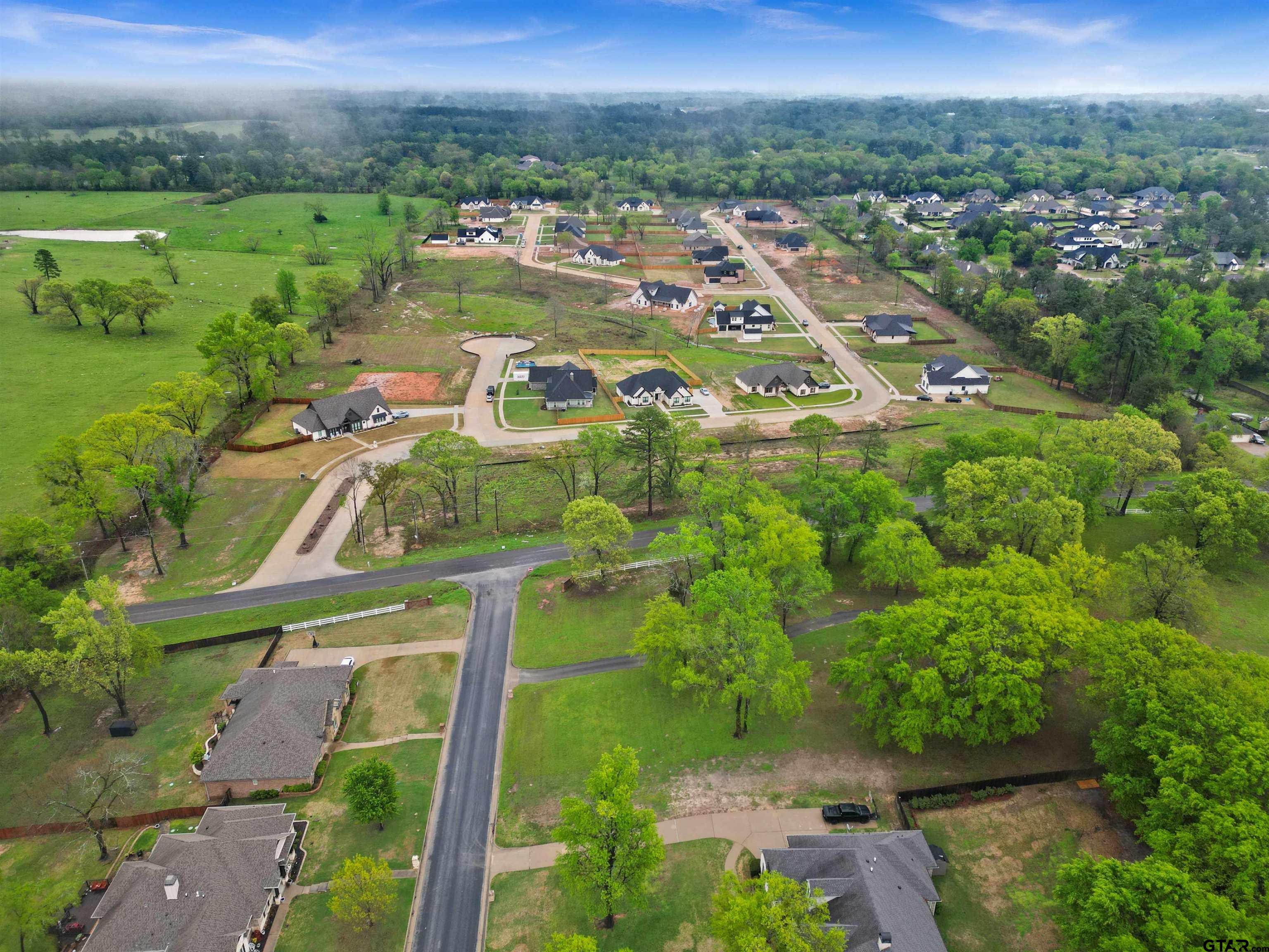 12015 Cedar Circle Flint, TX 75762 - Photo 9 of 14 a view of a city