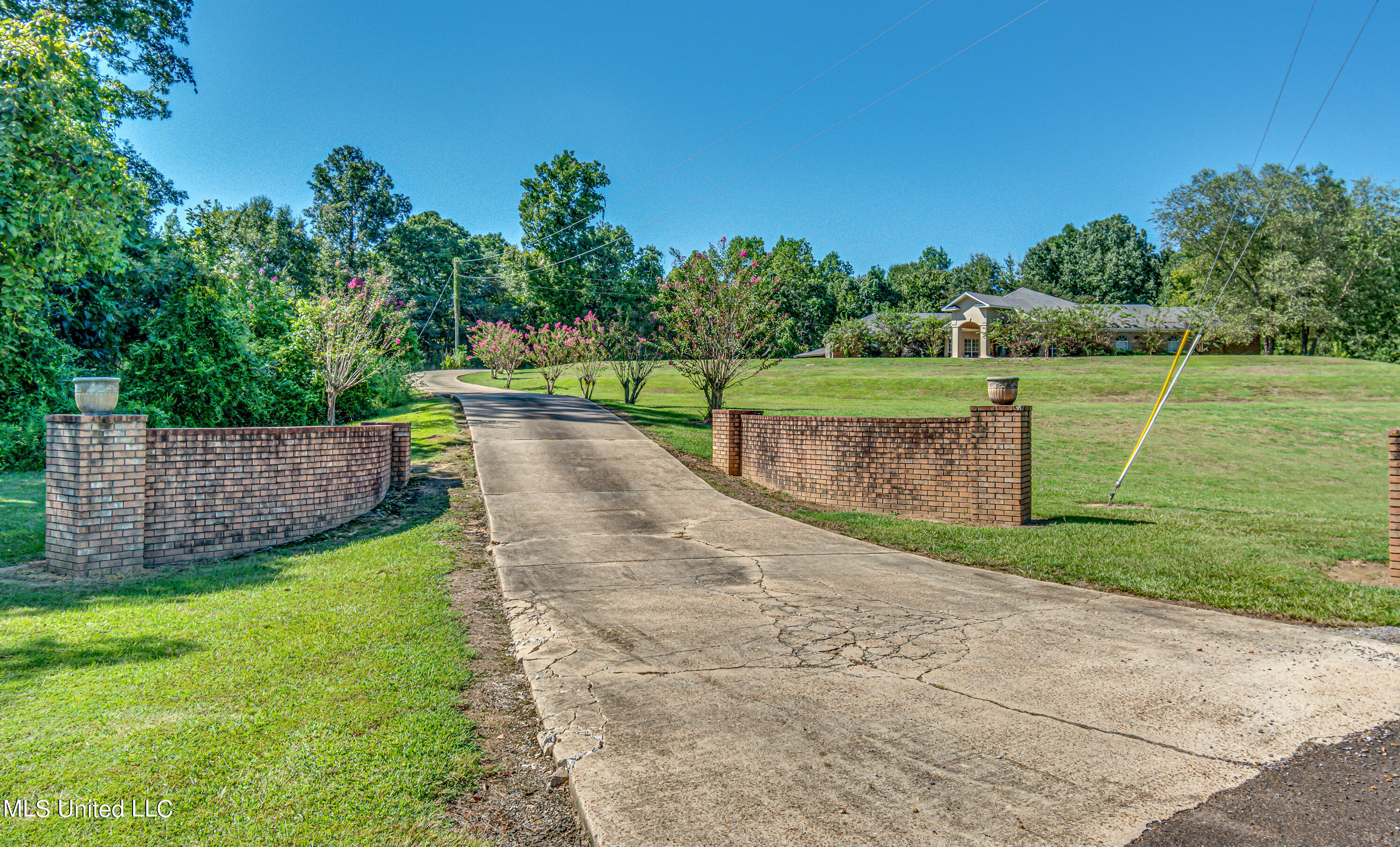 191 Springridge Place Yazoo City, MS 39194 - Photo 47 of 56 View from road