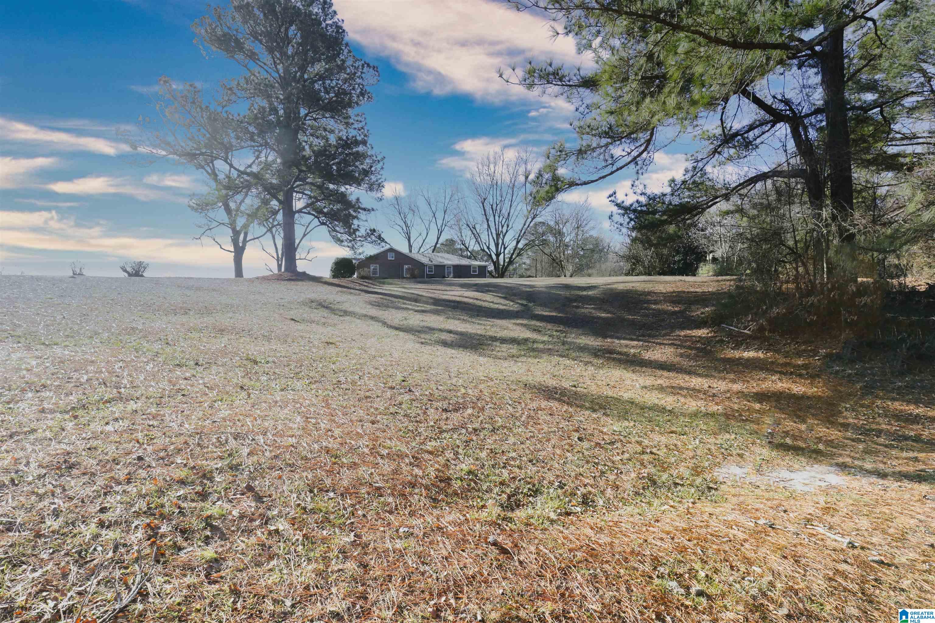 7110 McIntosh Road Oxford, AL 36203 - Photo 30 of 31