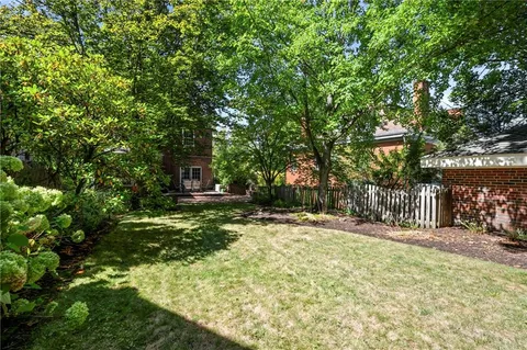 a view of a yard with plants and trees