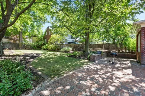 a view of backyard with tree