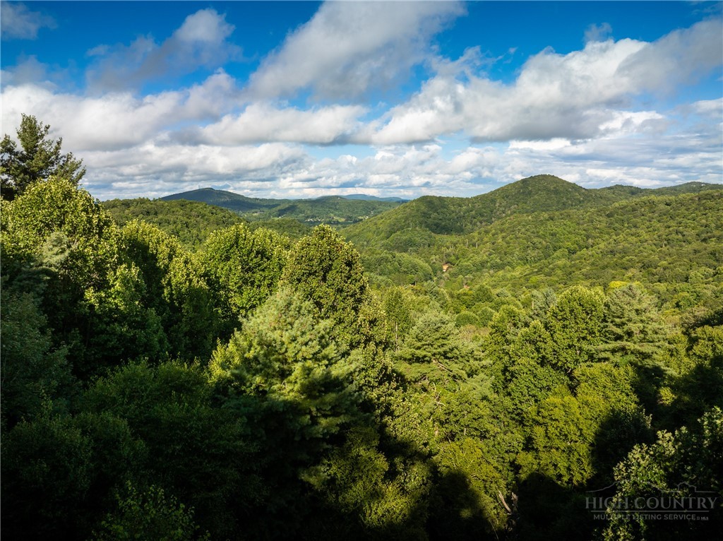 1243 Deck Hill Road Boone, NC 28607 - Photo 20 of 49