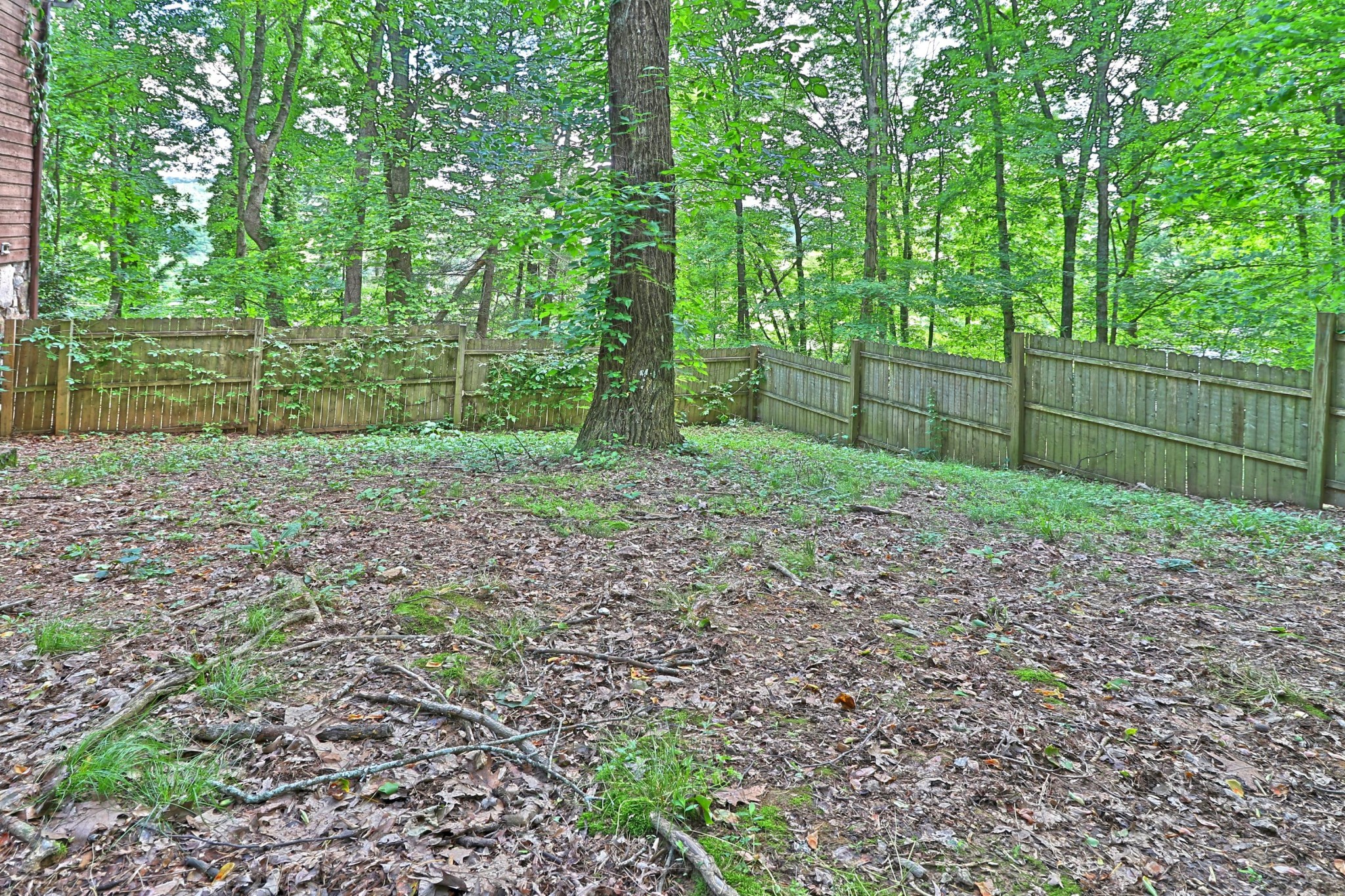 1967 Pine Ridge Road Seymour, TN 37865 - Photo 15 of 33 Gallery Image 15