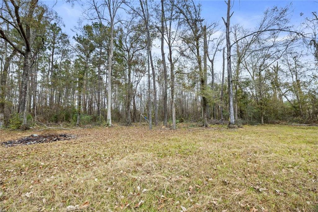 16375 Country Road French Settlement, LA 70733 - Photo 17 of 22