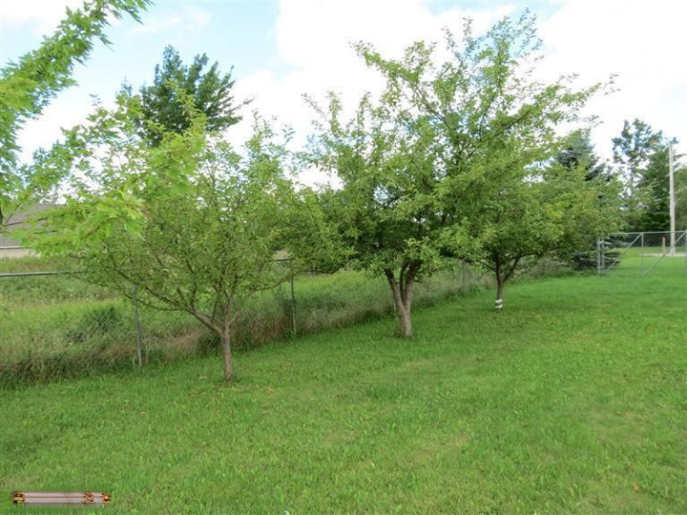 8711 Lyman Road Kaleva, MI 49645 - Photo 16 of 24 Additional Photo
