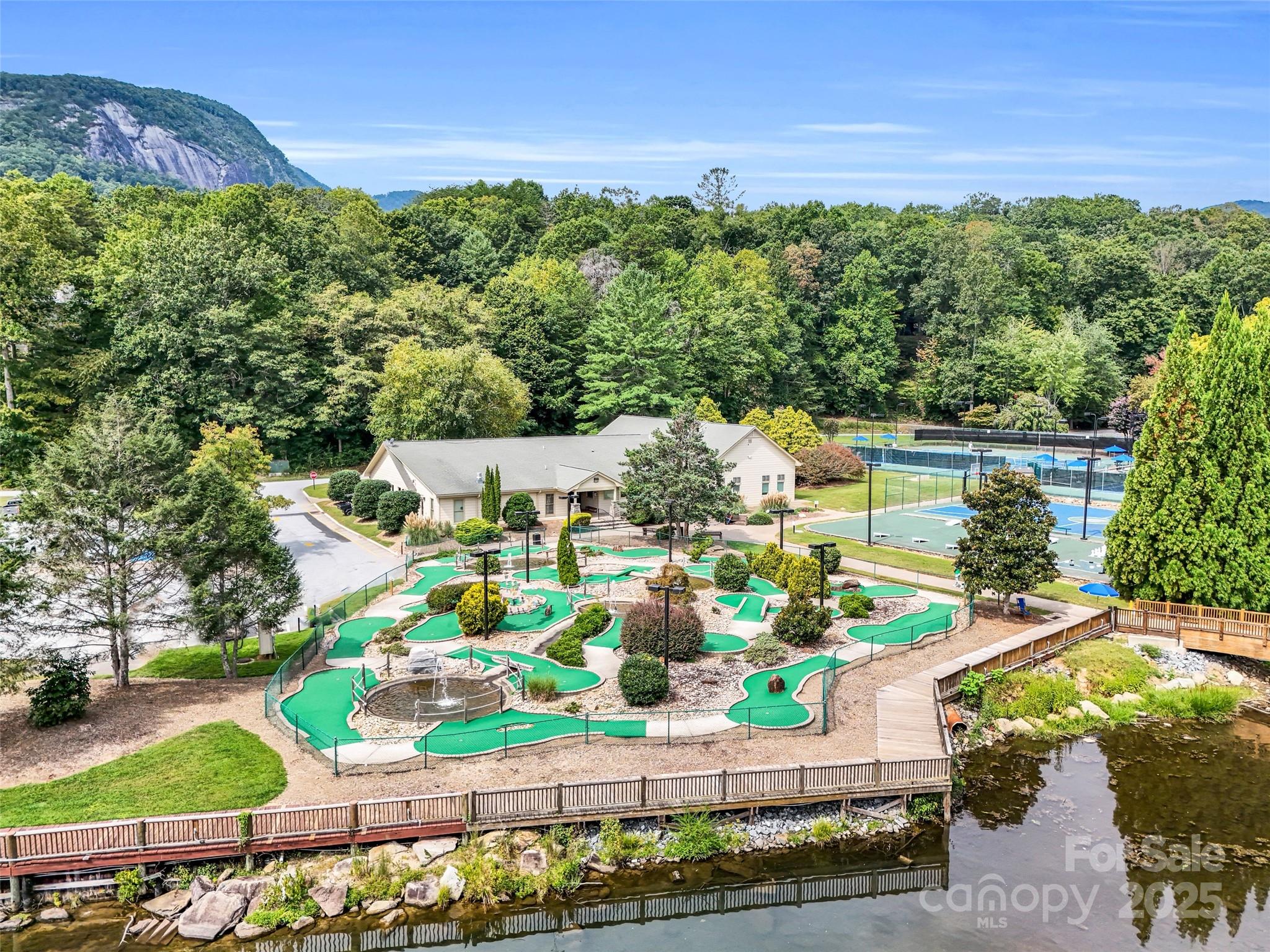 116 Chalet Road Lake Lure, NC 28746 - Photo 39 of 40