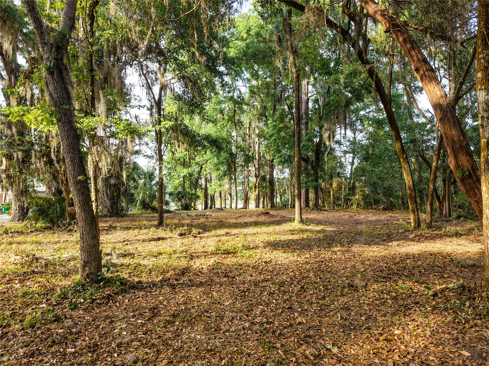 0 Blackbeards Way Yulee, FL 32097 - Photo 13 of 13