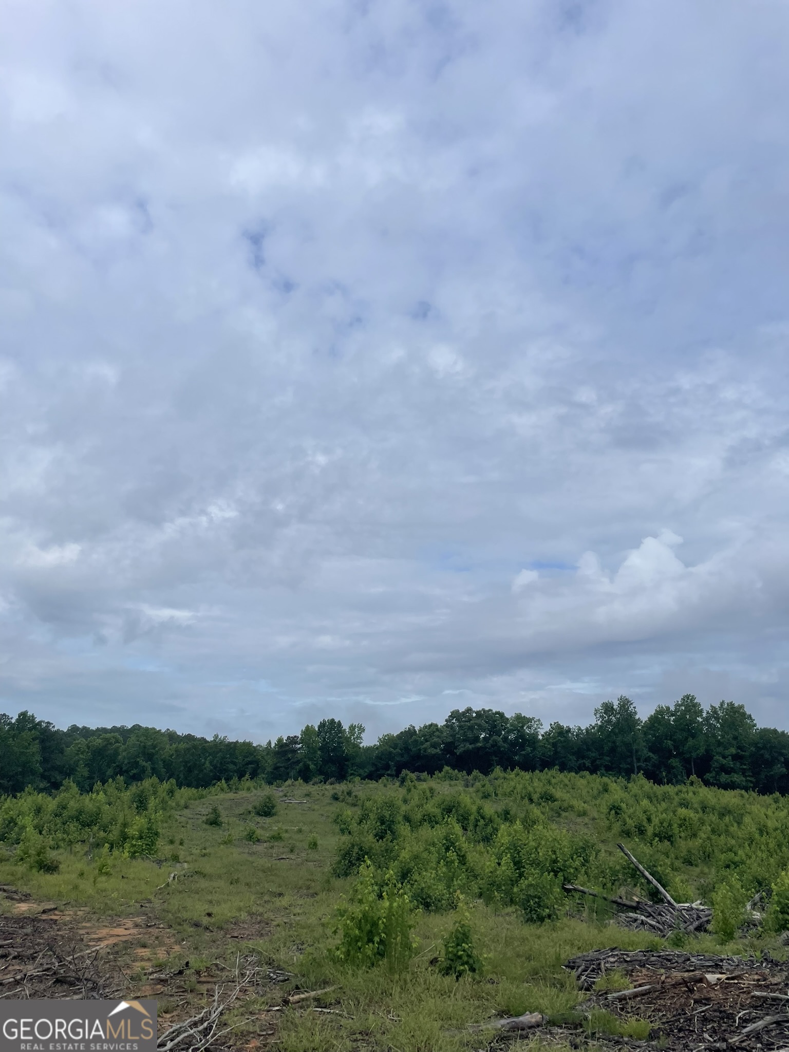0 Po Biddy Road Thomaston, GA 30286 - Photo 14 of 15