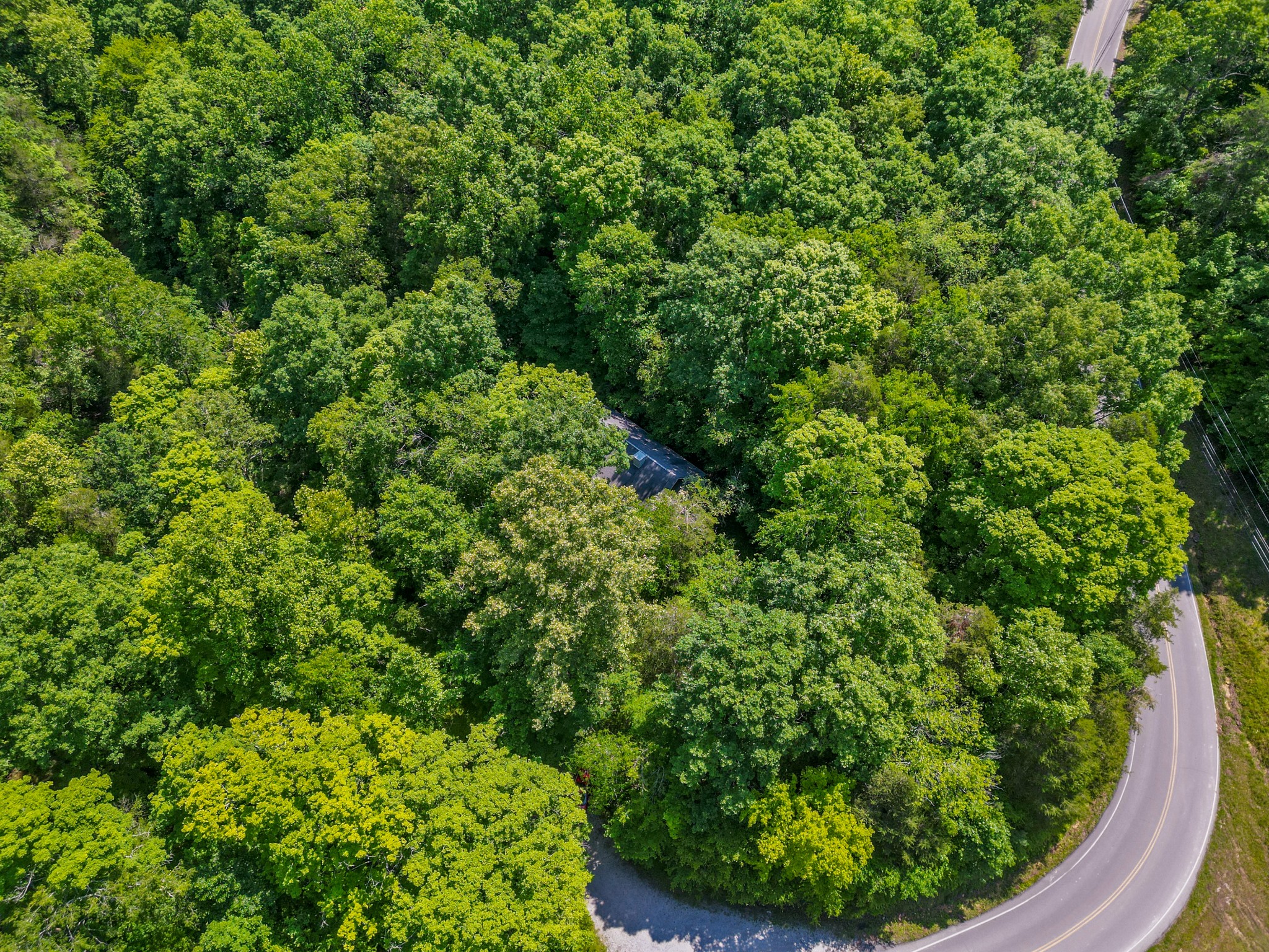 1150 Treanor Springs Road Kingston Springs, TN 37082 - Photo 29 of 48