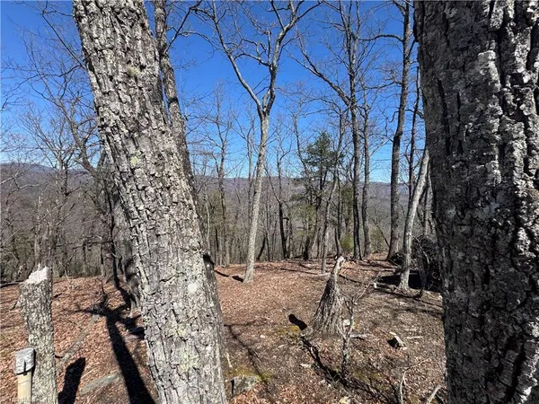 $142,000 | 438 Dogwood Circle, Traphill, NC 28685