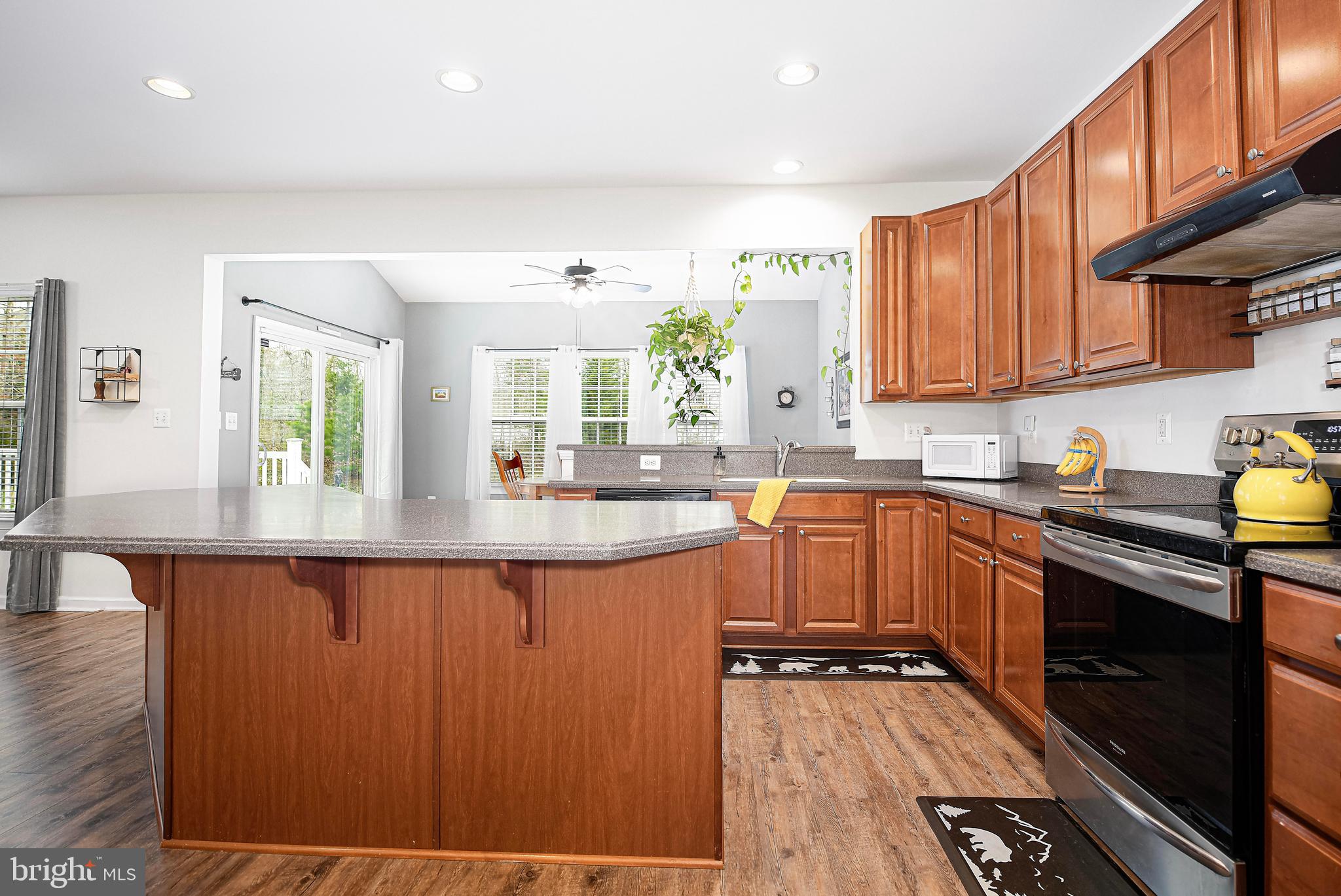 156 Cool Springs Road North East, MD 21901 - Photo 10 of 56