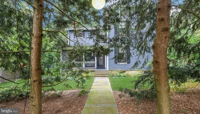 a view of a yard with plants