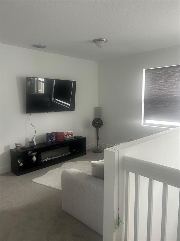 5637 Cerva Lane Ave Maria, FL 34142 - Photo 13 of 17