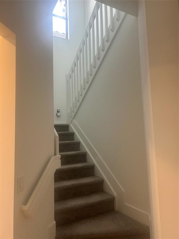 5637 Cerva Lane Ave Maria, FL 34142 - Photo 9 of 17