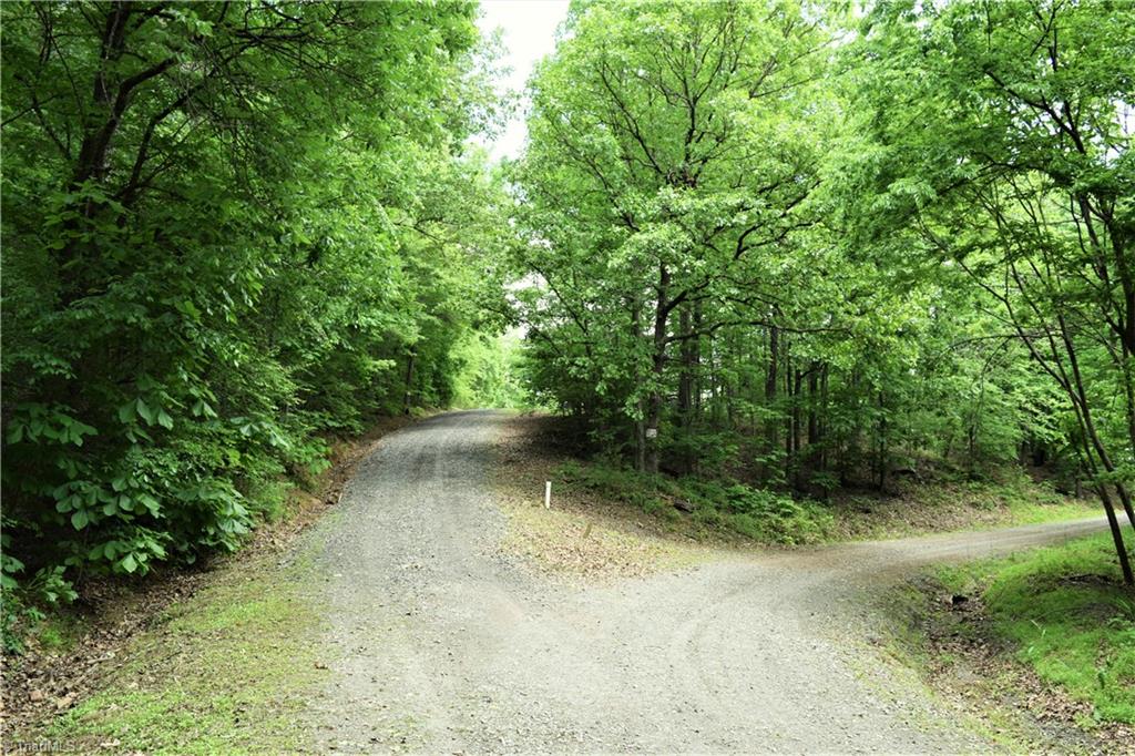114 Rink Road Mayodan, NC 27027 - Photo 18 of 30 Driveway Access. Can utilize either side as the driveway circles around