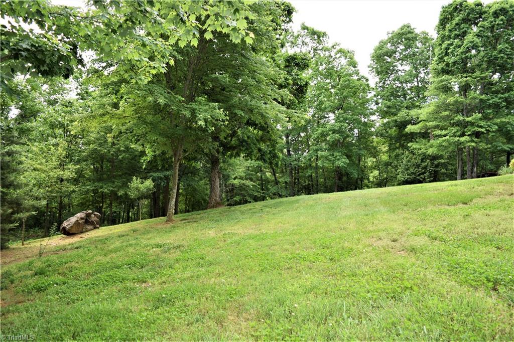 114 Rink Road Mayodan, NC 27027 - Photo 21 of 30 Well Manicured and Landscaped.