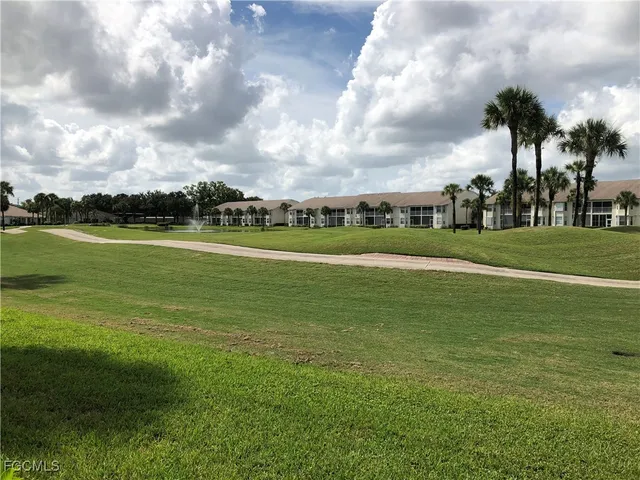 a view of a big yard with plants and a large tree