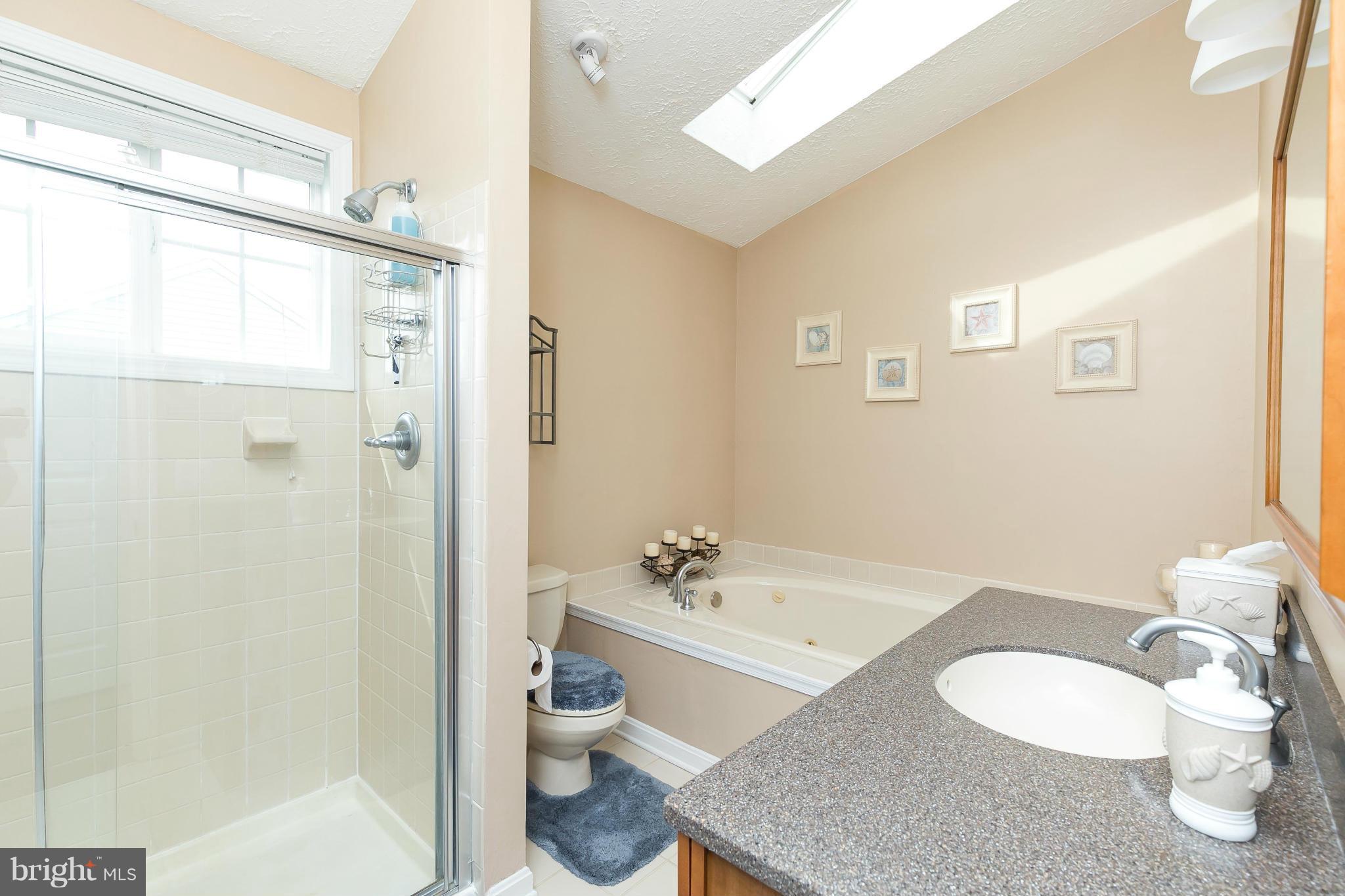 9105 Naygall Road Baltimore, MD 21234 - Photo 21 of 26 Bath (Master)
