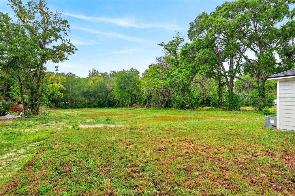 607 Thomas Avenue Leesburg, FL 34748 - Photo 47 of 50 a view of outdoor space with deck and yard