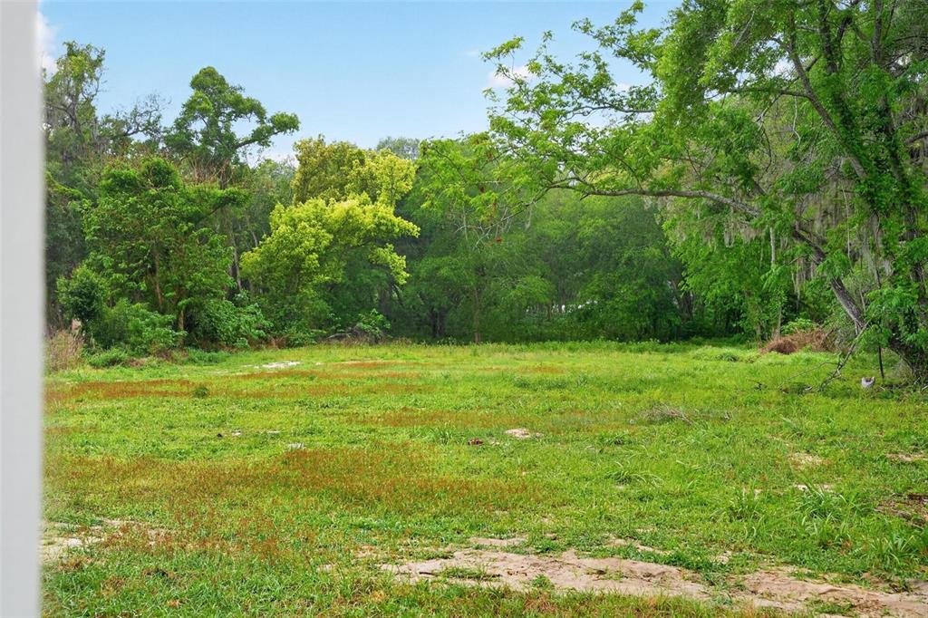 607 Thomas Avenue Leesburg, FL 34748 - Photo 48 of 50 a view of a yard with a tree