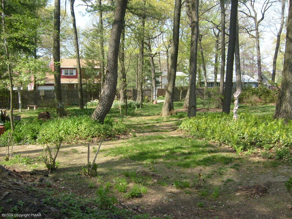 Oak Road Nazareth, PA 18064 - Photo 6 of 6 a backyard of a house with lots of green space