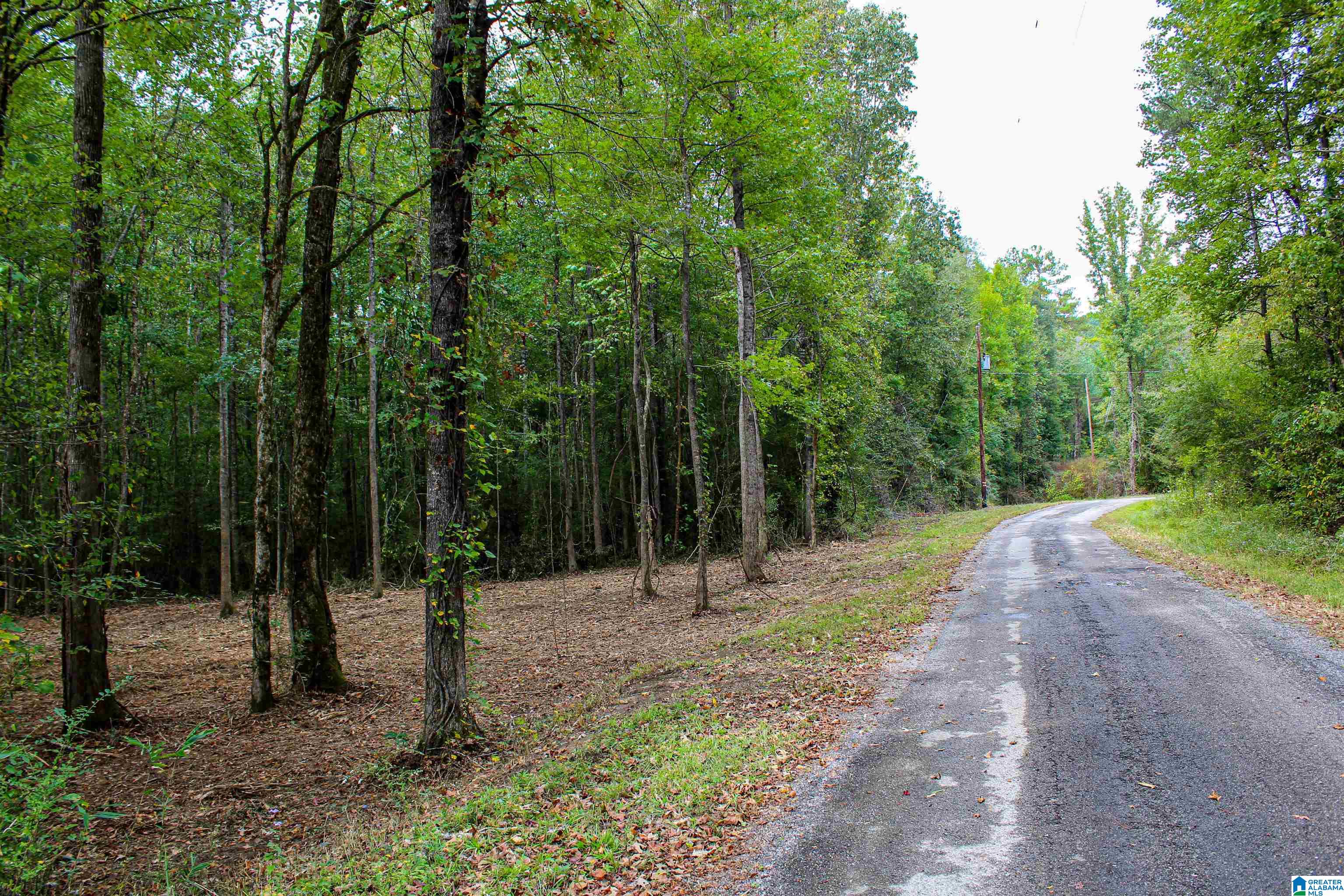 1 Highway 18, Unit 1 Oakman, AL 35579 - Photo 2 of 46