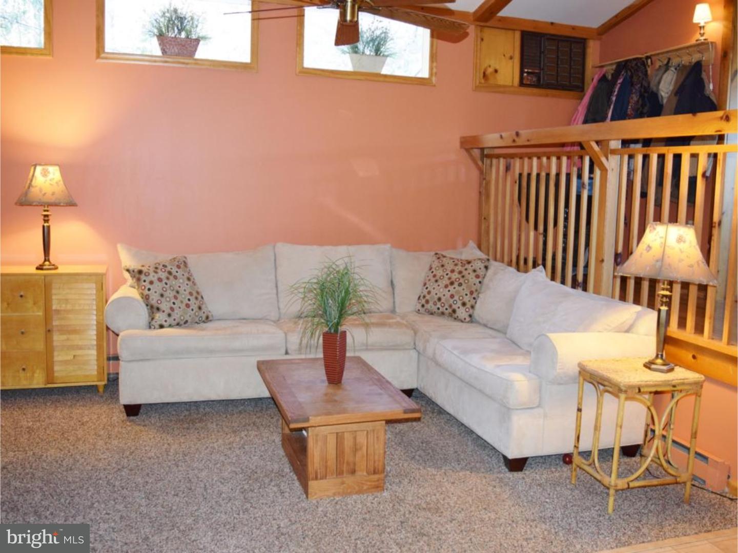 1707 Golf Road Reading, PA 19601 - Photo 15 of 17 a living room with furniture and a potted plant