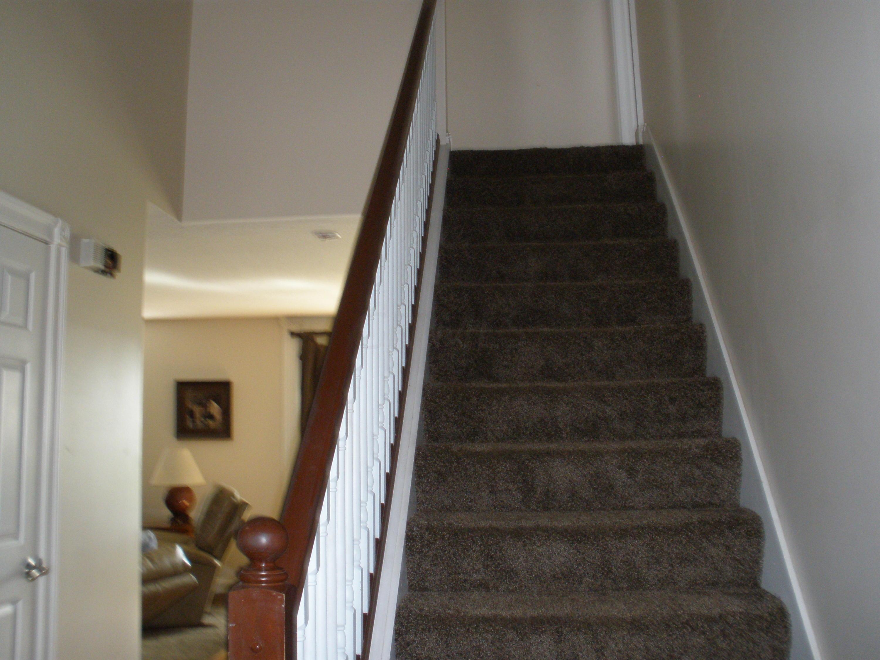 6712 Ridpath Road Grove City, OH 43123 - Photo 14 of 47 Stairs