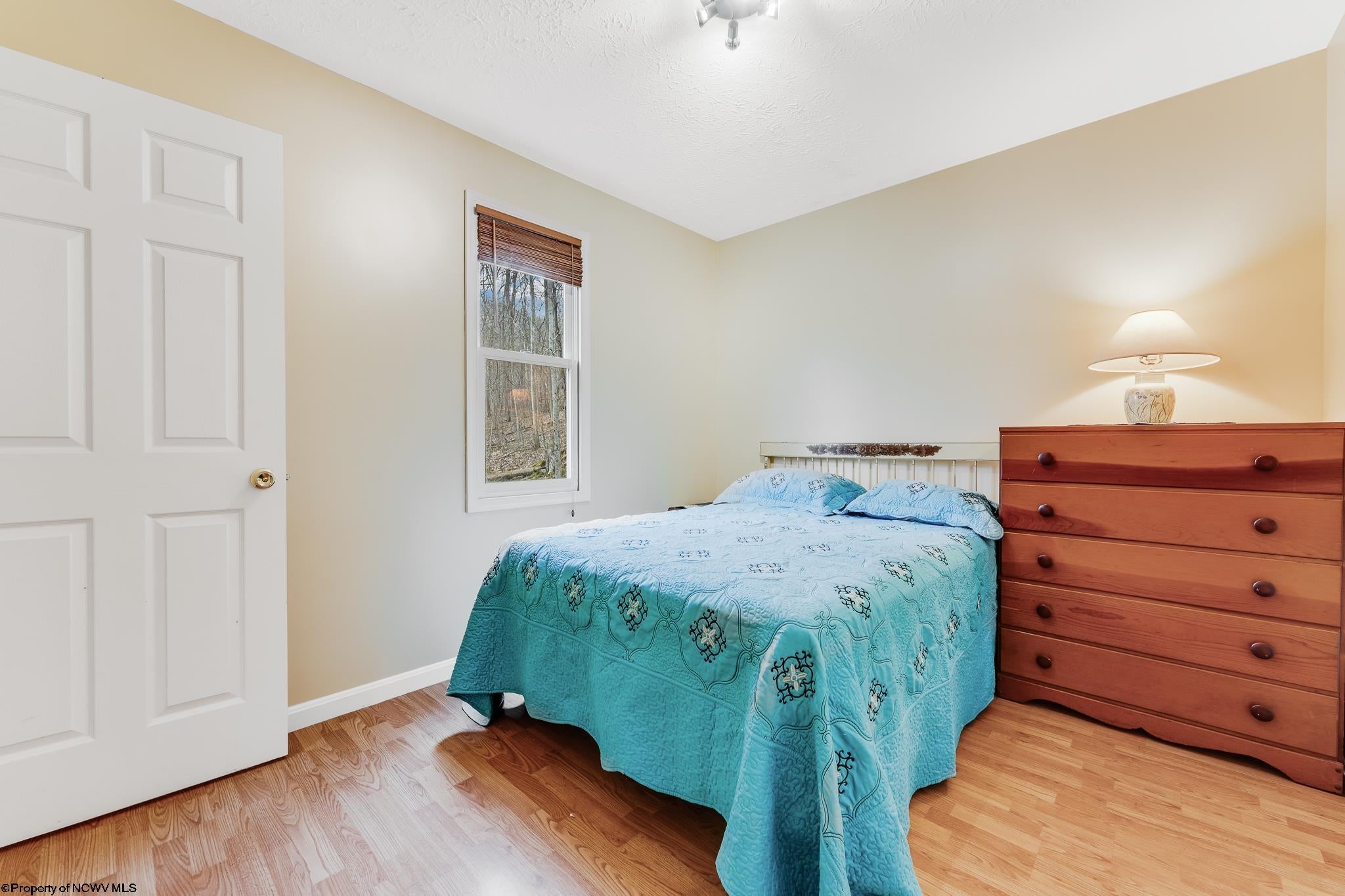 54 Lakeside Road Terra Alta, WV 26764 - Photo 20 of 38 Gallery Image 20