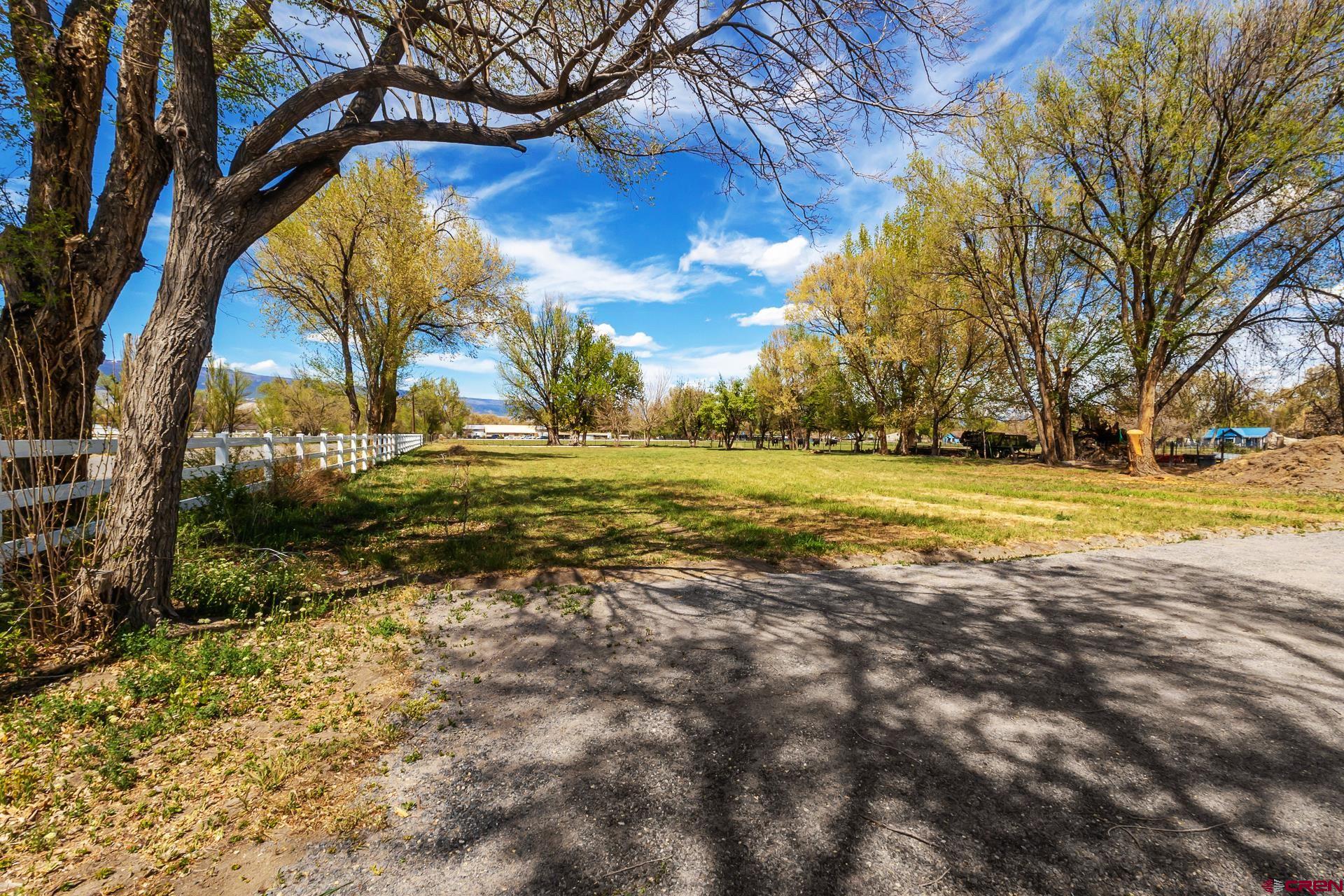 727 1550th Road Delta, CO 81416 - Photo 11 of 43 Gallery Image 11