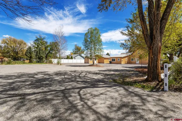 a view of a workspace with furniture and a potted plant