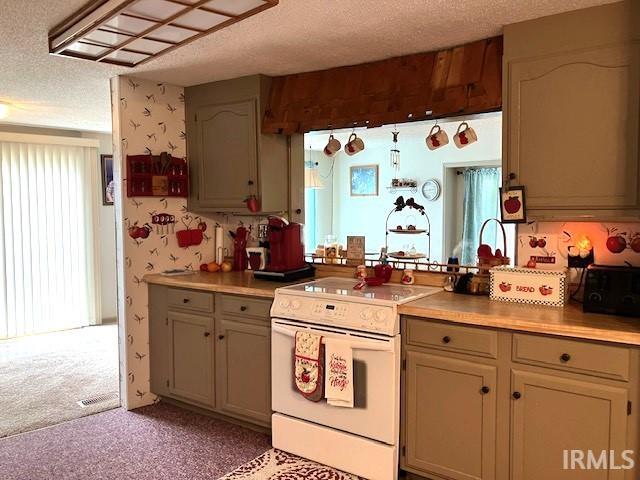 11475 North Risley Road Oaktown, IN 47561 - Photo 11 of 36 Gallery Image 11