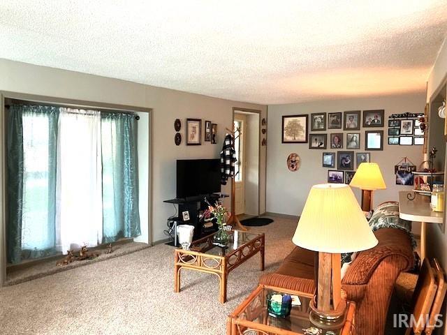 11475 North Risley Road Oaktown, IN 47561 - Photo 4 of 36 Gallery Image 4