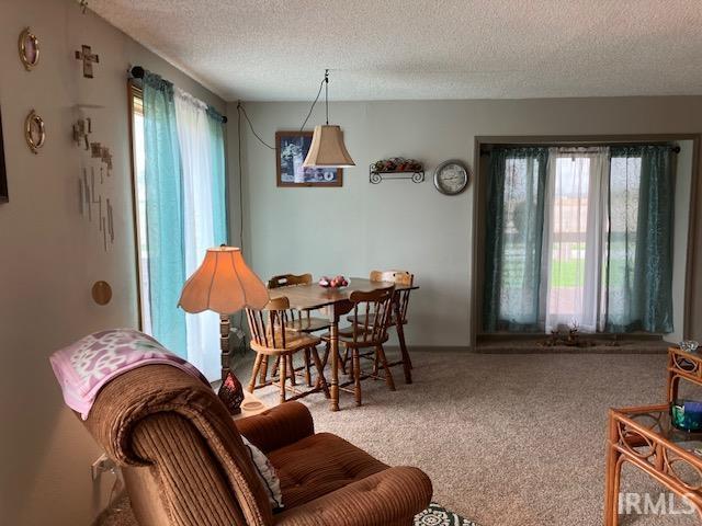 11475 North Risley Road Oaktown, IN 47561 - Photo 6 of 36 Gallery Image 6